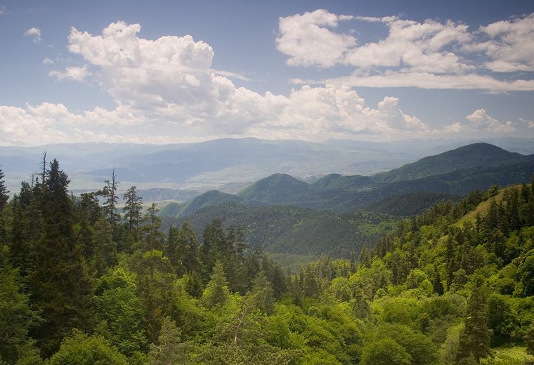 Borjomi, Gruziya
